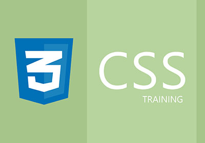 CSS Training in Noida
