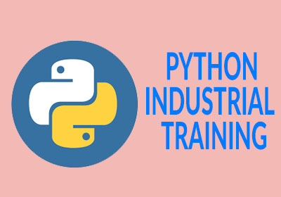 Python Industrial Training in Noida