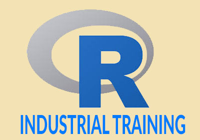 R Program Industrial Training in Noida